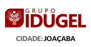 Cliente de Criação de Site Profissional Idugel